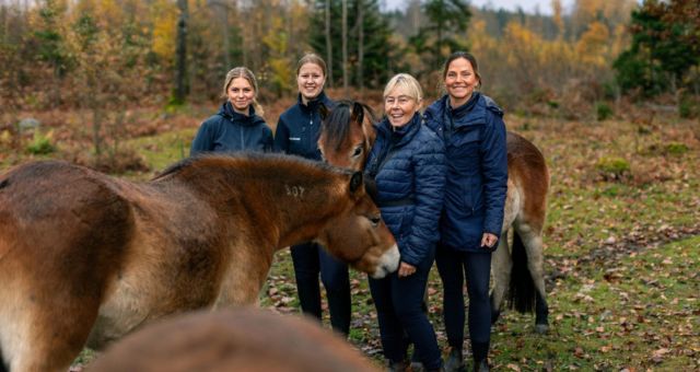 Fyra kvinnor står ute i naturen tillsammans med tre hästar
